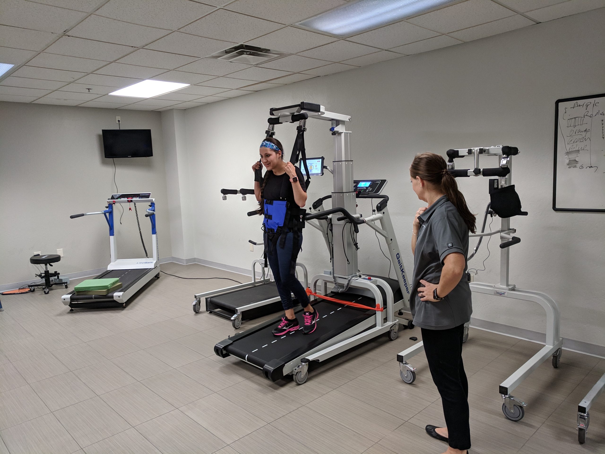 LiteGait® Therapy Training Events: Treatment Implementation & Optimisation – A Practicum