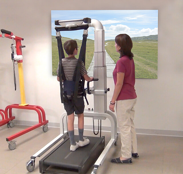 LiteGait 500x